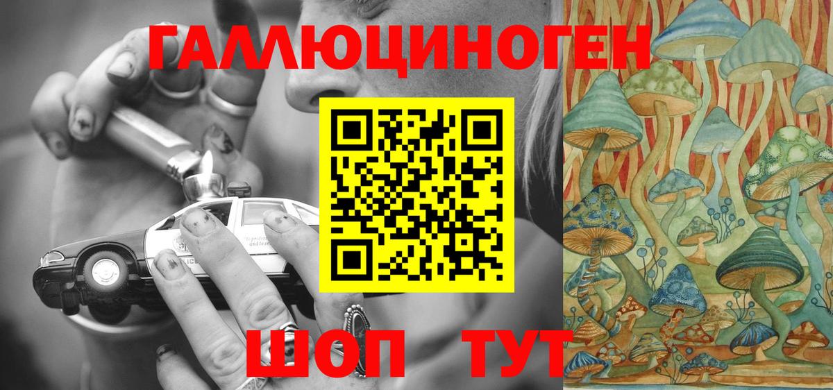 Псилоцибиновые грибы Psilocybe  Вход с VPN  Южноуральск 
