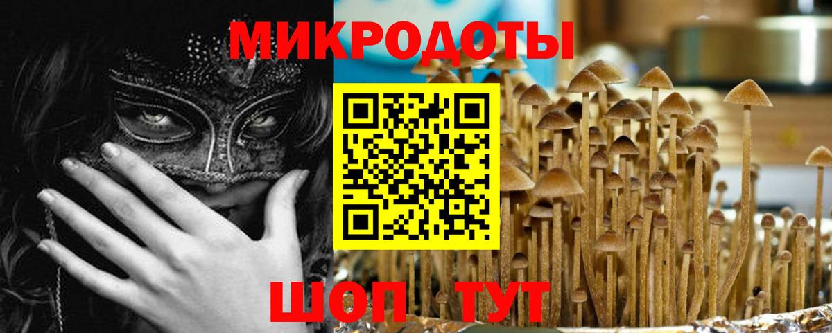 Псилоцибиновые грибы мицелий Южноуральск